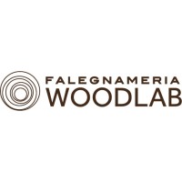 Woodlab Srl logo - Similar company to Woodlab Solutions - Tmsys Autoryzowany Dystrybutor