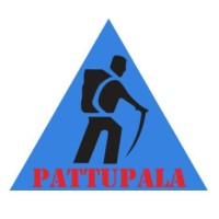 PATTUPALA logo - Similar company to Res-Mine Consulting