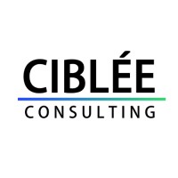 Ciblée Consulting