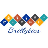 Brillytics logo - Similar company to Brillytics