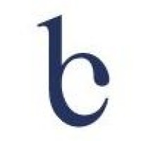 Bluechip Financial Consultants Ltd. logo - Similar company to Sureplan Financial