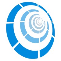 Netimpact Solutions Private Limited logo - Similar company to Dynamic Fieldwork Ltd