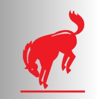 Maverick Packaging logo - Similar company to Bomag Group