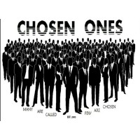 Chosen Ones Inc. logo - Similar company to 808S Global