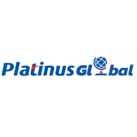 Platinus Datamart Systems India Private Limited logo - Similar company to Platinus Technologies Pvt Ltd.
