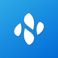 Netygo logo - Similar company to Bnm Consulting