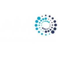 AM SOLUCIONES INTEGRALES SRL logo - Similar company to Am Soluciones Web