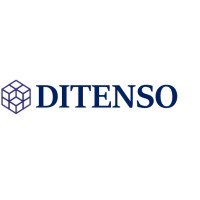 Ditenso logo - Similar company to Oriented Soft