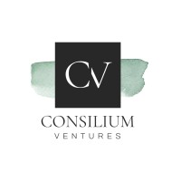 Consilium Ventures logo - Similar company to Onitt T/A Virgin Media O2