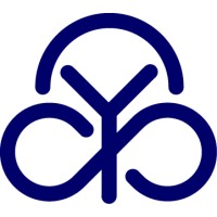 YSI Pvt. Ltd. logo - Similar company to Alsta Systems