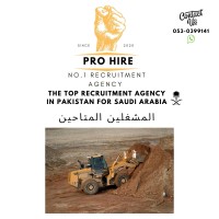Pro-Hire.agency logo - Similar company to Ruya Hire