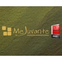MeJuvante GmbH logo - Similar company to Sparqs Solutions Gmbh & Co. Kg