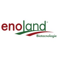 Enoland Srl logo - Similar company to Persongene