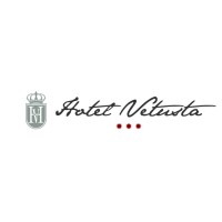 Hotel Vetusta logo - Similar company to Hotel 2.0 | Digital Marketing Turistico