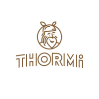 Thormi logo - Similar company to Thormi Technology
