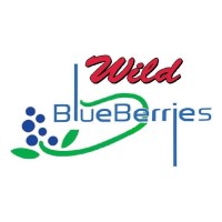 Wild Blueberries Dessert Shop logo - Similar company to Urbanicity Canada