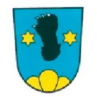 Bruhin Solutions logo - Similar company to Steps Global