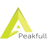 Peakfull 1003 CC logo - Similar company to Gocam