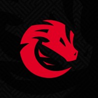 Dracon Esports logo - Similar company to 95X Esports