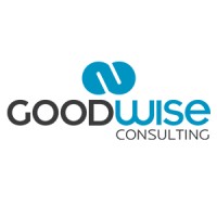 Goodwise Consulting logo - Similar company to Ic Point Creative Solutions