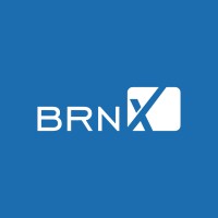 BRNX Networks logo - Similar company to Turbo Dev
