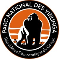Virunga Foundation logo - Similar company to Treatment Action Group (Tag)