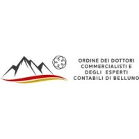 Ordine dei Dottori Commercialisti e degli Esperti Contabili di Belluno logo - Similar company to Valebo Valuation Advisory