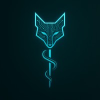 VelesLabs logo - Similar company to Mobile Warsaw