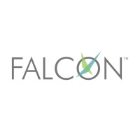 Falcon logo - Similar company to Wrk Lab Inc