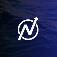 Netuno Investimentos - AI logo - Similar company to Tsi Analytics - Bi And Analytics Consulting For Several Challenges, Including Yours!