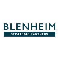 Blenheim Strategic Partners logo - Similar company to Blenheim Property