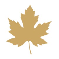 CIS Financial Group logo - Similar company to Goodie Accounting