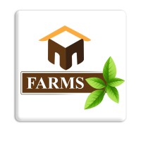 MFarms No.1 Mango Farmland logo - Similar company to Frutos Exóticos Del Ecuador Sas