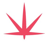 Queen Leaves logo - Similar company to Coachbox - Business Growth