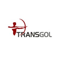 Transgol logo - Similar company to Qonta
