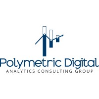 Polymetric Digital logo - Similar company to Polymetrics Mexico