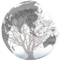 GBC Services LLC logo - Similar company to Next Level Accounting, Llc