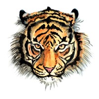Spotted Tiger logo - Similar company to Sens Innovation Aps