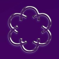 Common Sense Aligners logo - Similar company to Aligners International Programme