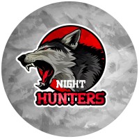 Night Hunters logo - Similar company to Lamselmar