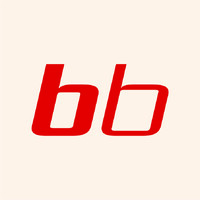 Boss Bern AG logo - Similar company to Tsw Kummer Systemwände Gmbh