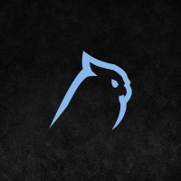 Envision logo - Similar company to Shownxt