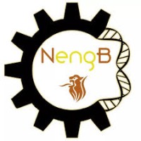 Núcleo de Estudantes de Engenharia Biomédica- UTAD logo - Similar company to Rdc Medical