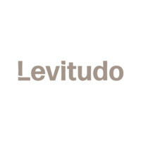 Levitudo logo - Similar company to Teec2