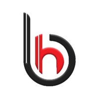 Branding Hook logo - Similar company to Adfries - Premium Digital Advertising Network