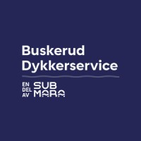Buskerud Dykkerservice logo - Similar company to Submara