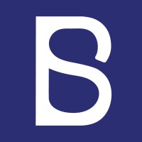 Barad Business Studio | استودیو کسبوکار باراد logo - Similar company to Royar