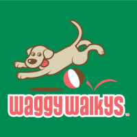 Waggy Walkys Llc