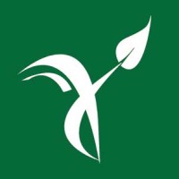 Institute for Solution-Focused Therapy logo - Similar company to Solution Focused