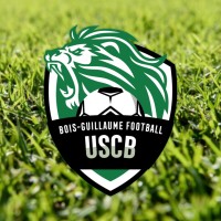 FUSC de Bois-Guillaume logo - Similar company to Cs Lagnieu
